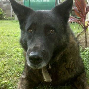 Meet your Posher, Tammy